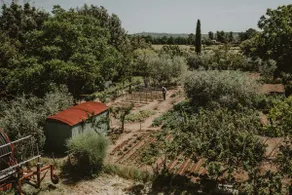 Agriturismo Cerqueto - Image 4