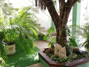 Quetzal Loft - Image 5