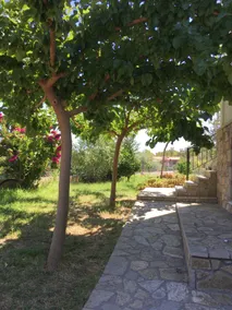 Villa ”Elisa” - Erateini - Image 2