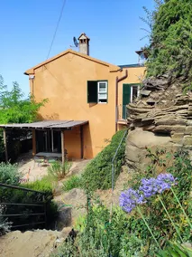 Montiano's garden - Image 2