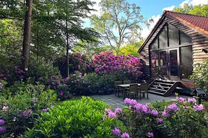 Treehouse Studio: stylish luxury with private forest - Image 2