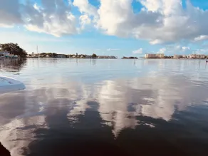 Must Try! Heart of St. Pete Waterfront Private Dock 3 bedroom house with office - Image 2