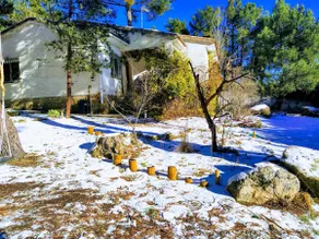 The house in the woods - Image 5