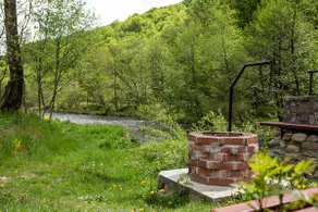 Iubu House in Transylvania County - Image 4