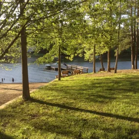 Cozy Lakeside Cabin at Lake Wateree with Dock - Image 3