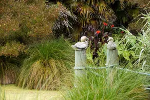Lawn Cottages - Image 3