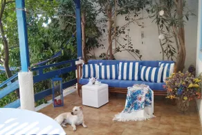 A Cretan house in the garden. - Image 4