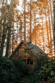 Oceanfront Olympic Cabin— Secluded & Vast (2BR) - Image 3