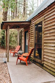 Evergreen Hideaway est une cabane nichée sous de grands pins. - Image 5