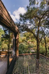 The Big Pinecone House - Image 2