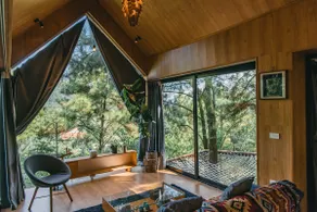 The Big Pinecone House - Image 4