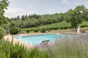 Farmhouse near Florence - Limonaia - Image 5
