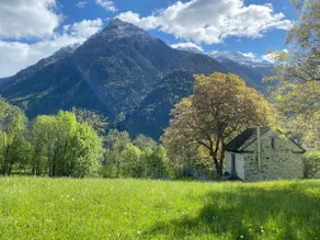 RUSTICO Orabino & SAUNA - Image 3