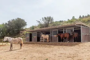 El Molí Blanc Rural House - Image 5