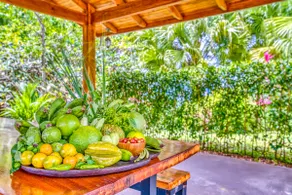 The Retreat at Blue Mountain Farms - Image 2