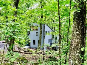 Saltbox at Wintergreen, a Modern Mountain Escape - Image 4