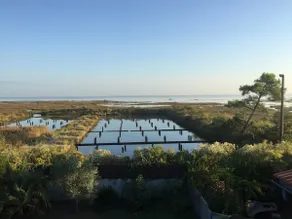 Træ villa vender mod havet - Image 5