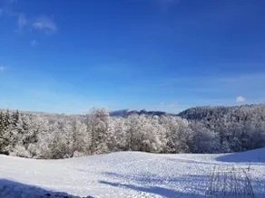 gite du Haut Jura tout confort vue exceptionnelle à 180 ° sur le Parc Naturel - Image 4