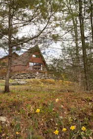 Catskills Aframe, Water View, Goat Sanctuary - Image 5