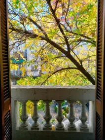 New! Hamilton Loft in ”Bolívar Mansion” San Telmo - Image 5