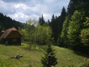 Rogla Dandi Pohorje house 1, Apt 1 - Image 5