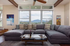 Mid-Century Home & Cabin: Sauna& Hot tub Asheville - Image 3