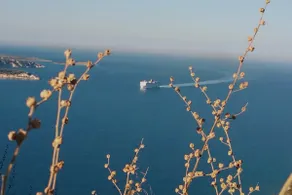 PALACE Sea view - Image 2
