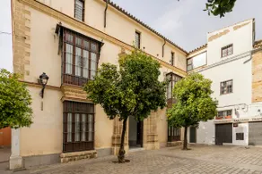JEREZ DE LA FRONTERA PALACE WITH PRIVATE POOL - Image 2