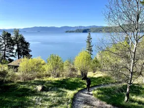 Sandpoint Lake Retreat - Image 2