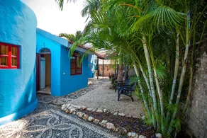 Casa Corazon. Cozy house in Downtown Merida. - Image 5