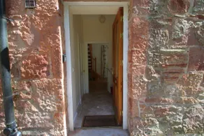 The Studio -open plan cottage in woodland estate - Image 4