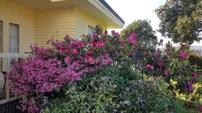 59 Chaucer Apartment - Image 2