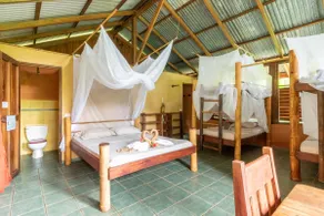 Casa Zenon: magic retreat with jungle view. - Image 5