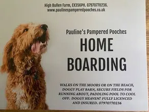 Award-winning dog friendly cottage with Sea Views - Image 5