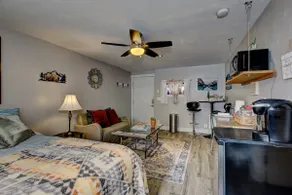 ⭐Missoula studio⭐ Pets | Chill Vibe #WE❤MISSOULA - Image 2
