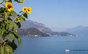 Studio Stop en el lago - Lago de Como - Lezzeno - Image 2