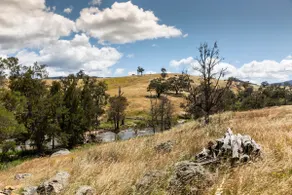Flat Rock Retreat - Image 4