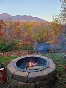 Tyro Mountain View Cabin - Image 4