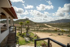 Quinta Negrete in Masaric, Valle de Guadalupe - Image 4