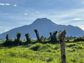 Hacienda Rosas Pamba - Image 4