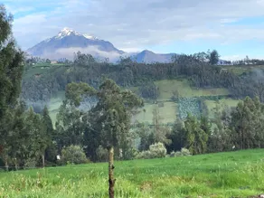 Hacienda Rosas Pamba - Image 5