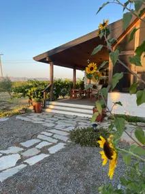 Idyllic Sonoma Vineyard Farmhouse With Pool - Image 2