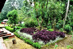 FreshBreeze Homestay - Image 4