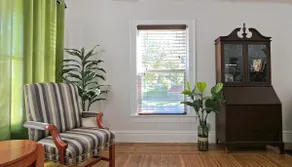 Family home in the Elmwood Village - Image 4