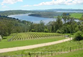 🐞Little Swan House🍇 Tamar Valley🍷 River Walks-WiFi 🦀 - Image 3