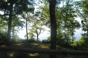 Lake House on Beautiful Kentucky Lake! - Image 4
