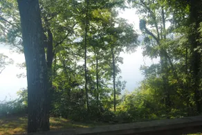 Lake House on Beautiful Kentucky Lake! - Image 5
