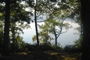 Lake House on Beautiful Kentucky Lake! - Image 2