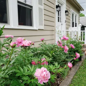 Cantabile life in the Berkshires - Image 3