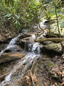 Tarhelia Falls - Image 2